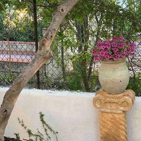 Sul Mare * Zingarello